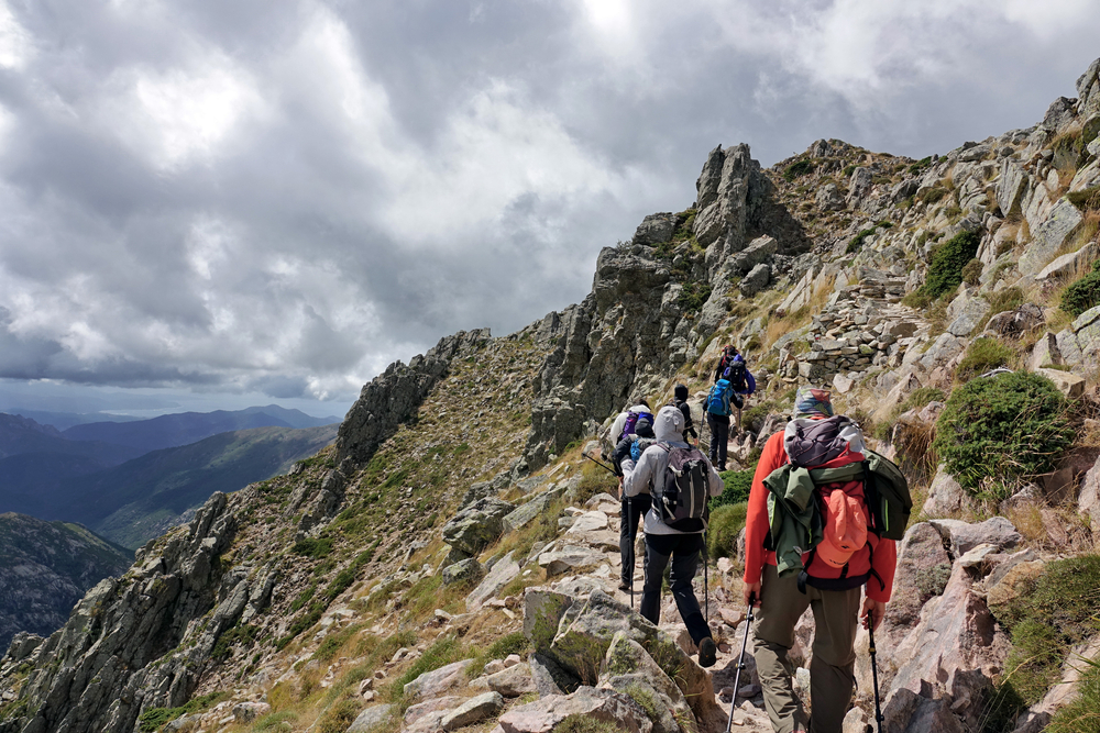 The GR20