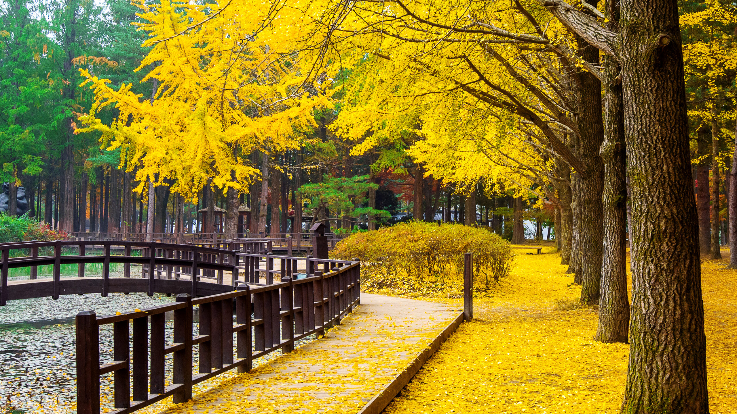 The Most Beautiful Places I’ve Ever Seen