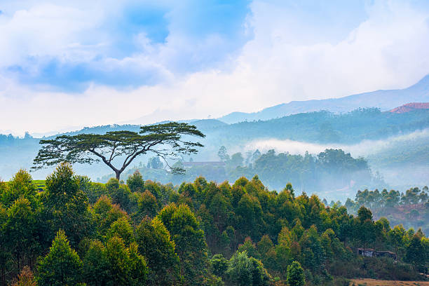 Best Visa-Free Countries Under ₹70K for Budget Travelers